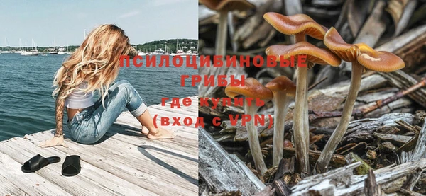 крисы Абдулино