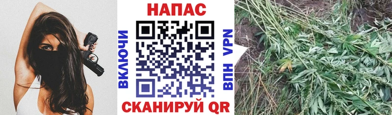 купить наркотики цена  ОМГ ОМГ рабочий сайт  Бошки марихуана марихуана  маркетплейс Telegram  Кадников 